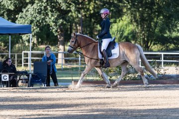 Bild 7 - Pony Akademie Turnier